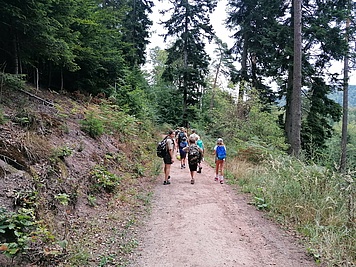 Wanderung, gemeinsam, Natur, Erlebnis