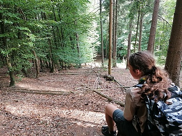 Pause, Stolz, geschafft, schön, Natur